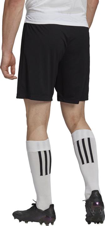 Actual product image adidas Spodenki Entrada Tw22 (XXL)