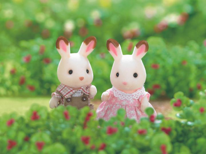 Image du produit Sylvanian Families Cuillères