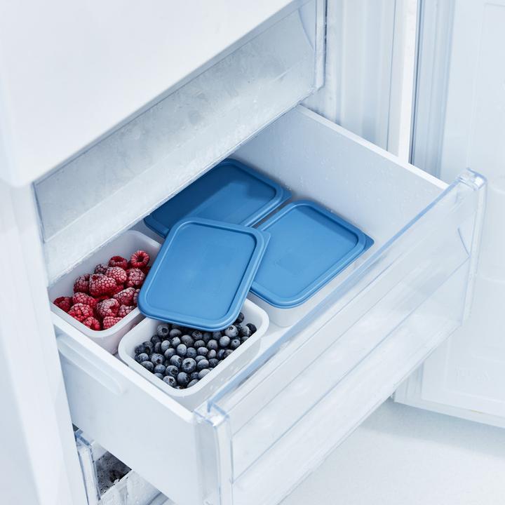 Produktbild Rotho Gefrierdosen Set (0.50 l)
