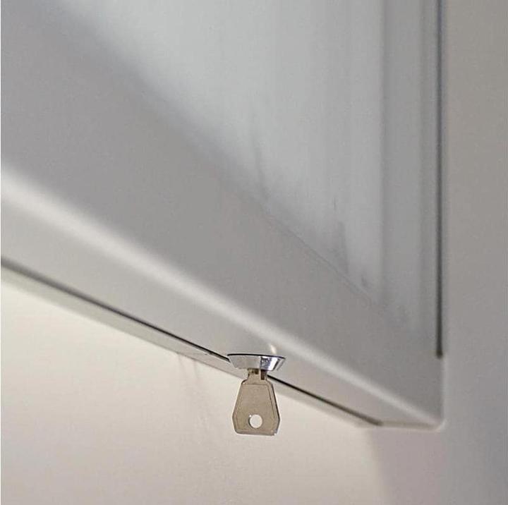 Immagine prodotto Franken Vetrina 53x70,4x4,5 cm per esterno magnetica/descrittiva per canna fumaria (4 x A4)
