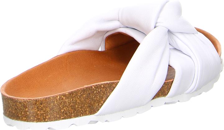 Actual product image Verbenas Rainbow Blanco (38)