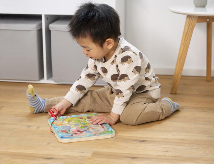 Actual product image Haba City Maze