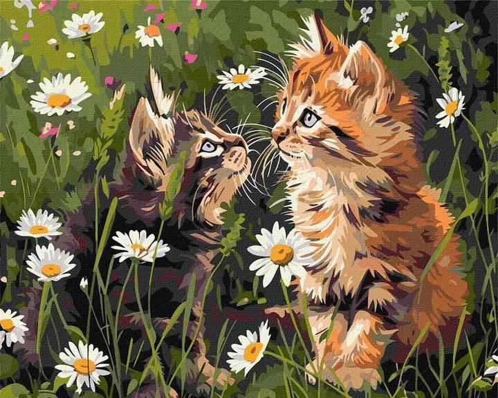 Norimpex Malen nach Zahlen - Katzen in Blumen 40x50cm