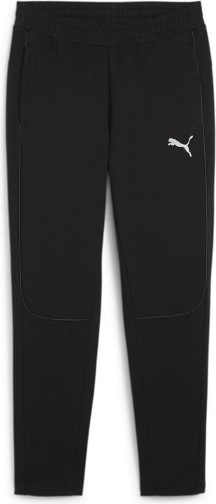 Puma teamFINAL Casuals Pants