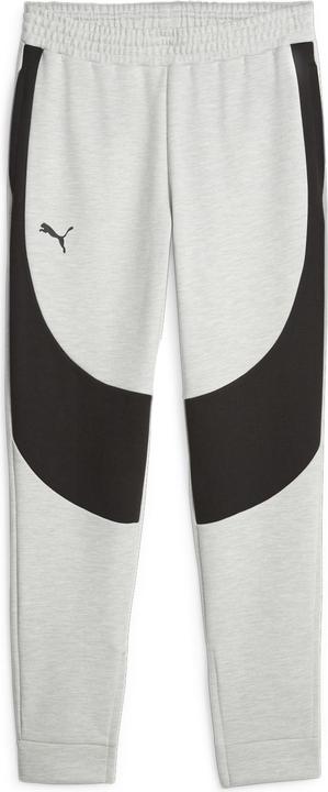 Puma Hoops Team Dime Pant (M)