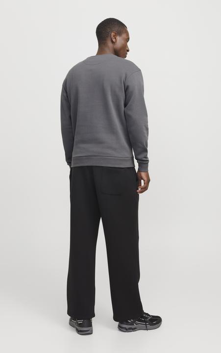 Actual product image Jack & Jones Jjebradley Sweat Crew Noos (M)
