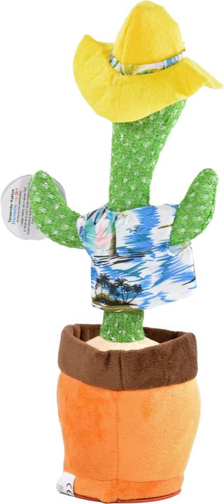 Immagine prodotto Kögler Cactus danzante (34 cm)