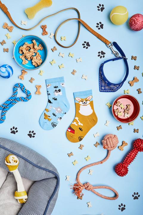 Produktbild Many Mornings Playful Dog (Einzelpack, 27 - 30)