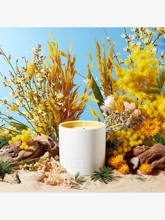 Produktbild Maison Francis Kurkdjian Candle Les Tamaris (280 g)