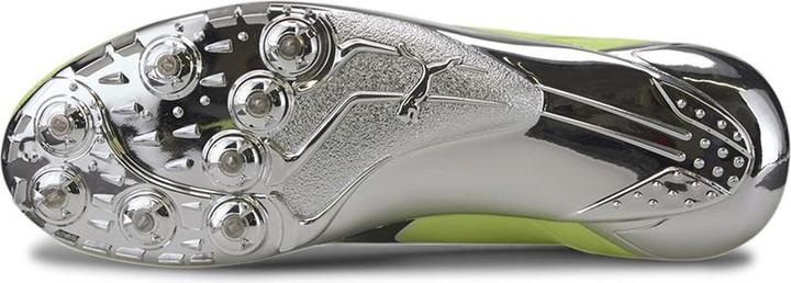 Actual product image Puma Evospeed Electric 8 (40.5)