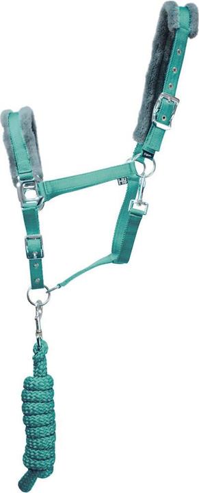 Immagine prodotto Hy Equestrian Cavezza e corda per il guinzaglio