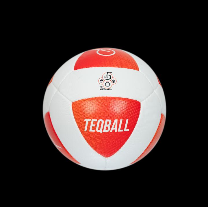 Actual product image Teqball Ball