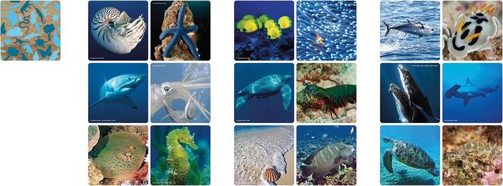 Image du produit Merchant Ambassador Memo animaux marins (Allemand)