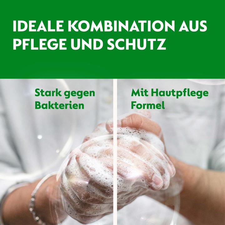 Actual product image Dettol No-Touch (Liquid soap, 250 ml)