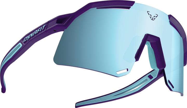 Dynafit Ultra Evo Sunglasses (Grau)