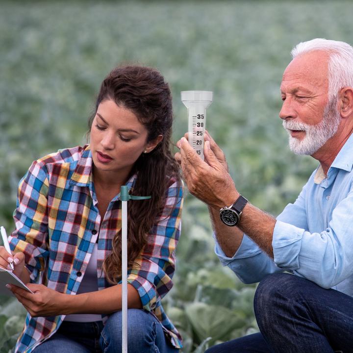 Actual product image Relaxdays 2x rain gauge