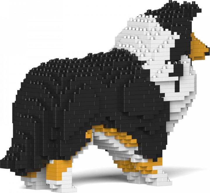 Actual product image Jekca Limited Shetland Island Sheepdog