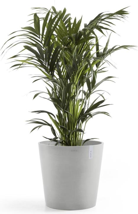 Produktbild Ecopots Amsterdam + Wasserbehälter (50 cm)