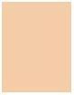 Produktbild Shiseido Synchro Skin Self-Refreshing - Foundation SPF 30 Shell 160 (160 Shell)