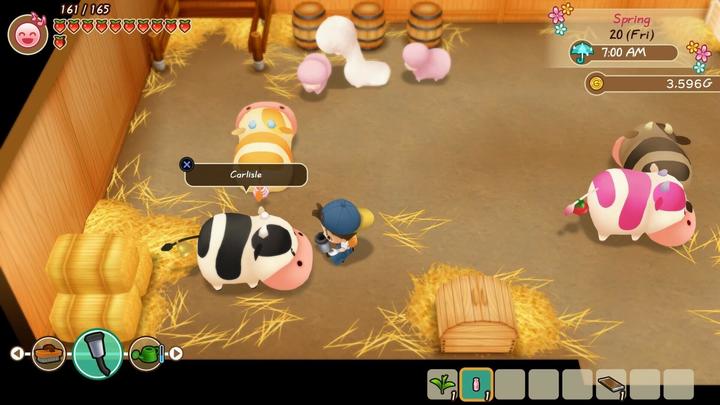 Produktbild Marvelous Story of Seasons : Friends of Mineral Town (Switch, FR)