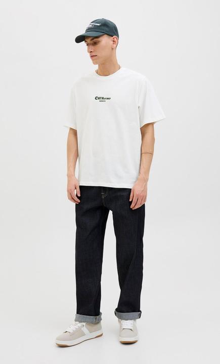 Actual product image Jack & Jones Jorbradley Fruits Tee Ss C.N Stmss25 (L)