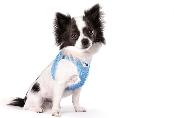 Produktbild Curli Geschirr Vest Air-Mesh XL SE24, Airblue (XL, Hund, Spazieren)