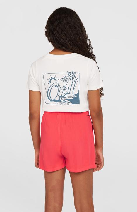 Image du produit O'Neill Summer Woven Shorts (104)