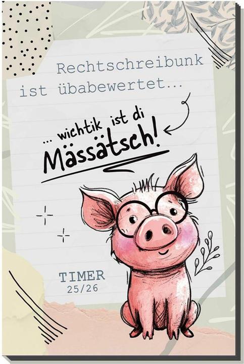 Immagine prodotto Schülerkalender Flexi Mässätsch (13 x 20 cm, Tedesco)
