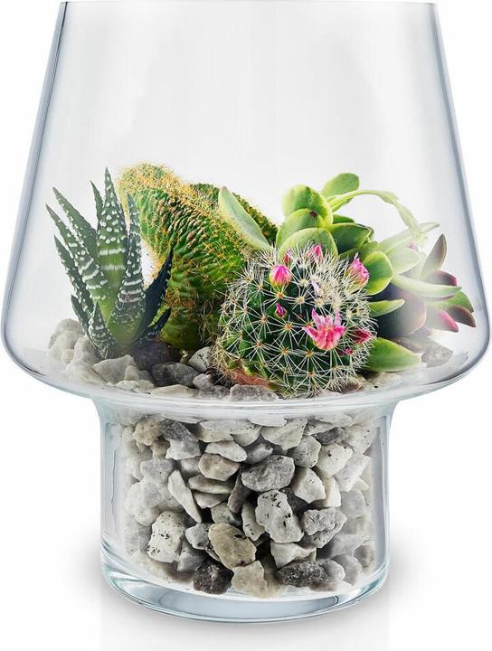 Produktbild Eva Solo Sukkulenten-Glasvase Ø15cm (1 x, Ø 15 cm)