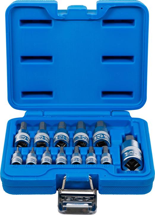 Actual product image BGS Bit insert set (2 mm, 2.5 mm, 3 mm, 4 mm, 5 mm, 5.5 mm, 6 mm, 7 mm, 8 mm, 9 mm, 10 mm (hexagon socket), 12.0 mm, 10mm)