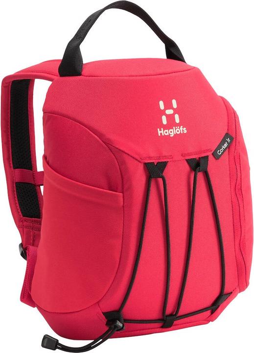 Actual product image Haglöfs Corker (5 l)