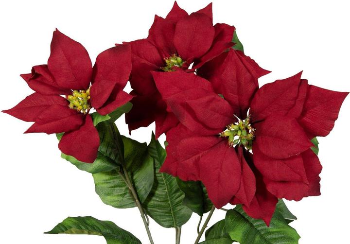 Produktbild Europalms Weihnachtsstern-Busch, rot, 50cm (50 cm)
