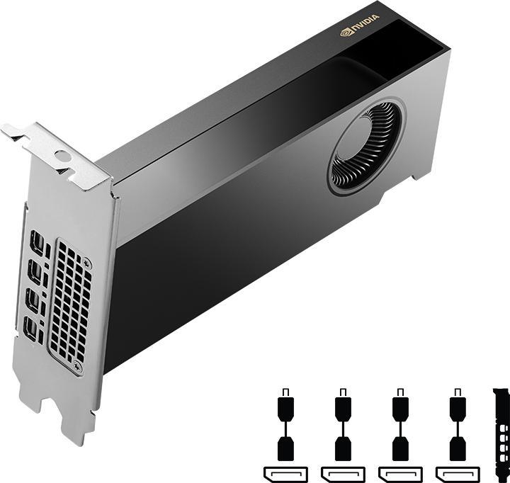 Actual product image PNY RTX 2000 Ada (16 GB)