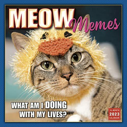 Actual product image Meow Memes September 2022-December 2023 Calendar (English)