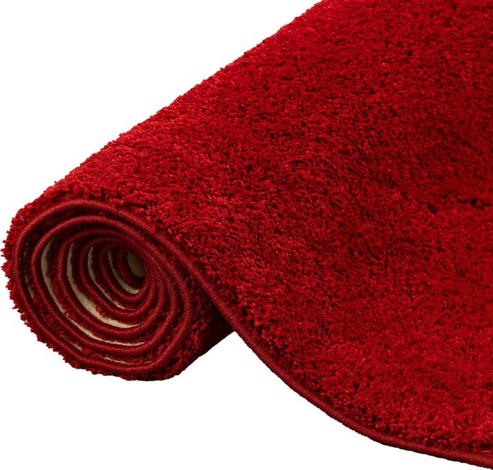 Image du produit Snapstyle Palais du tapis à poils longs (200 x 300 cm)