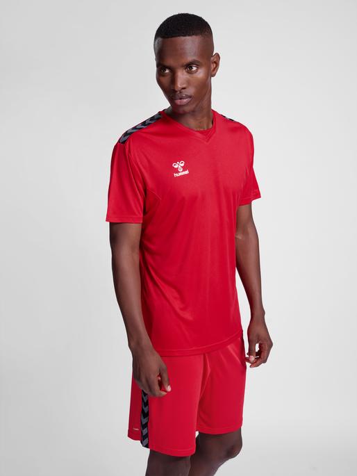 Image du produit hummel Hmlauthentic Pl Jersey S/S (L)