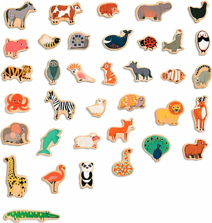 Actual product image Djeco Magnimo (36 x)