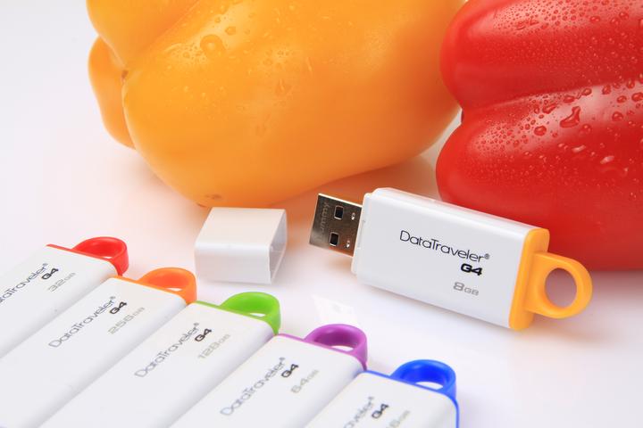 Produktbild Kingston DataTraveler G4 (16 GB, USB-A)