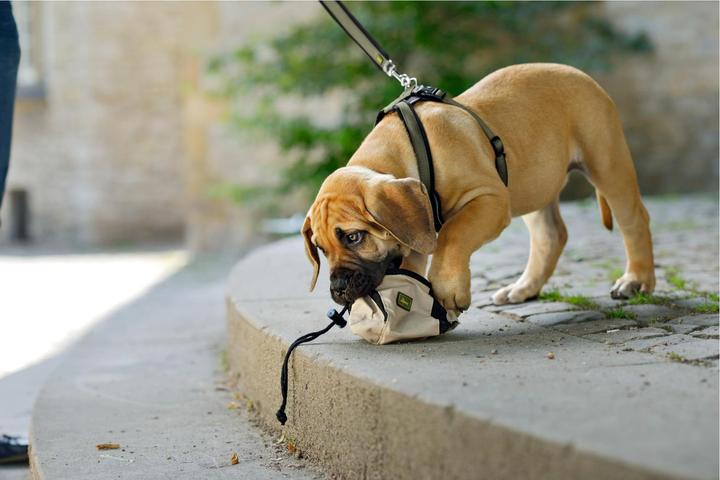 Produktbild Hunter Geschirr NeoprenNylon (M, Hund, Allgemein)