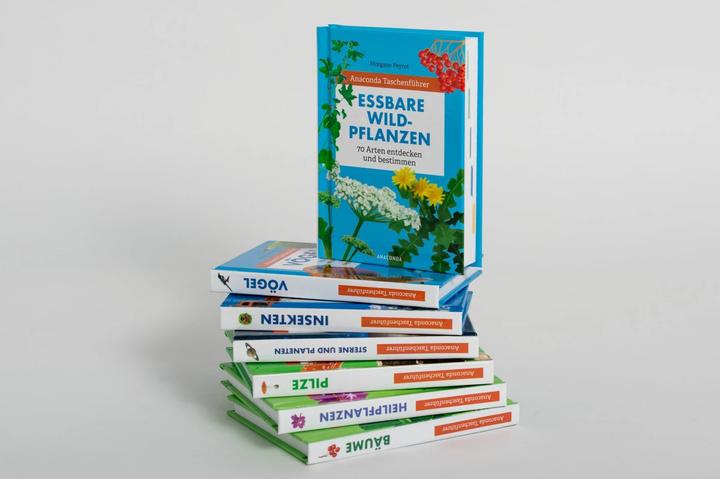 Produktbild Taschenführer Vögel (Deutsch, Thomas Launois, Svenja Tengs, 2020)