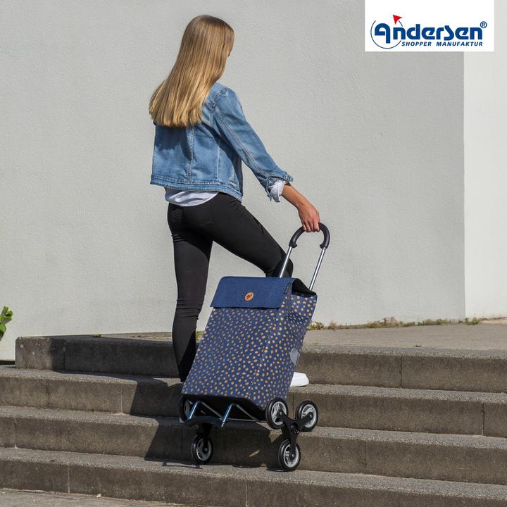 Immagine prodotto Andersen Scalatore Scala Shopper Fita