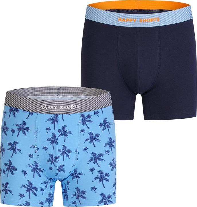 palm print - marine