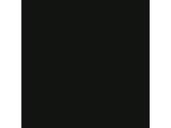 Actual product image Talens Amsterdam Acrylic Ink 30 ml (Black, 30 ml)