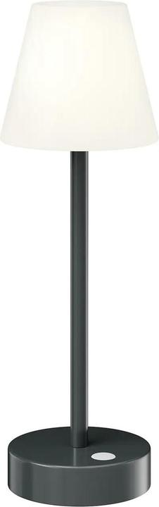 Image du produit Newgarden Lola Slim anthracite (260 lm, E27)