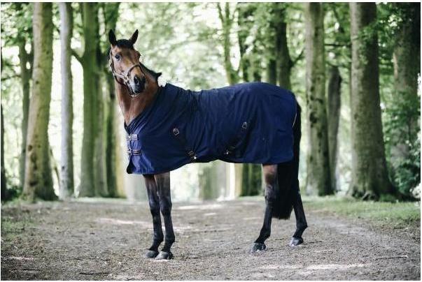 Immagine prodotto Kentucky Horsewear Foglio di cotone (155 cm)