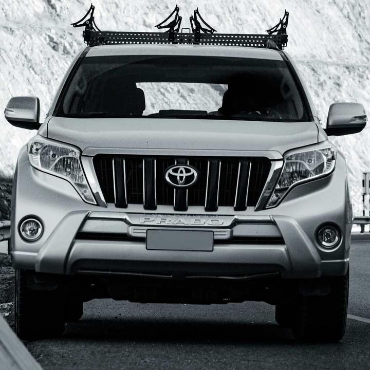 Actual product image WeatherTech Toyota Land Cruiser Prado (J150) (2008-2019) Car sun protection kit