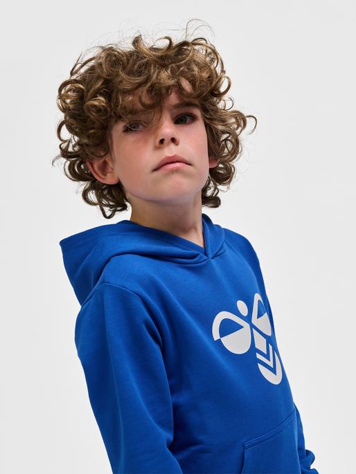 Actual product image hummel hmlCUATRO HOODIE (122)