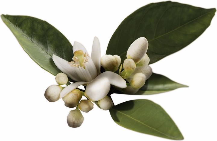 Actual product image Valmont Zafferano I (Eau de parfum, 100 ml)