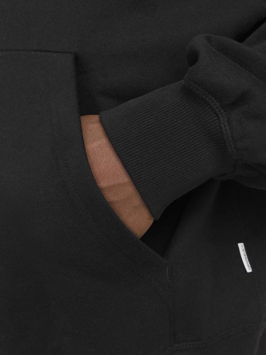 Produktbild Jack & Jones Joraustin Font Sweat Hood Styd Aw24 (M)
