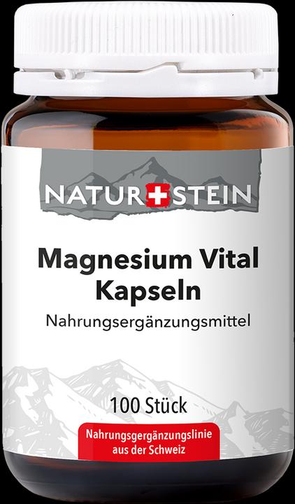 Naturstein Magnesium Vital (100 Stück, Kapseln, 168 g)